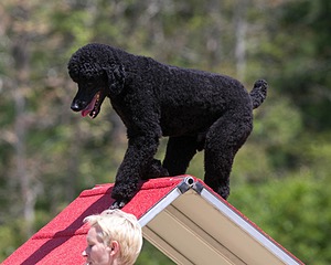 20150613-CCKC-0251.jpg