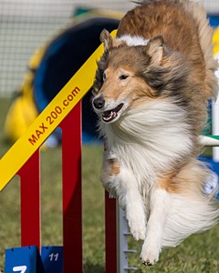 Rae Silva