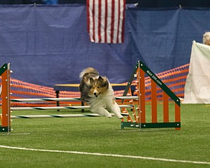 20150321-LEAP-1397.jpg