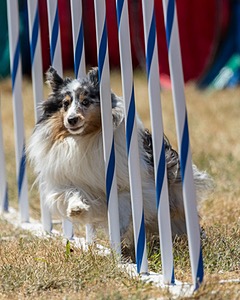 20160618-CCKC-1909.jpg