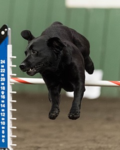 Cash Gaetano
