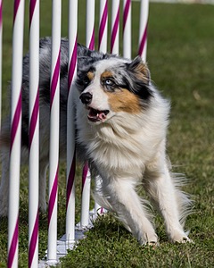 20230916-PVKC-1479.jpg