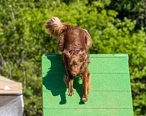 20160619-CCKC-0200.jpg