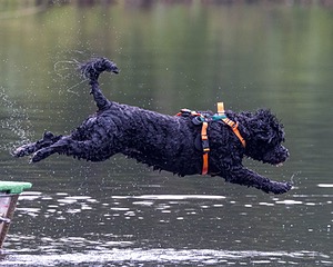 Rio Abbruzzese