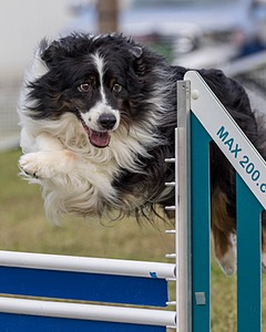 20230917-PVKC-2791.jpg