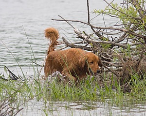 20080531-HRW-0699.jpg