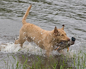 20080531-HRW-0041.jpg