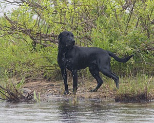 20080531-HRW-1148.jpg