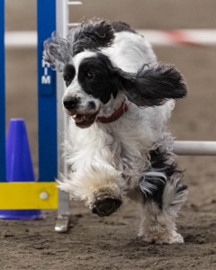 Piper Deyette