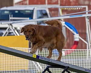 20230916-PVKC-1741.jpg