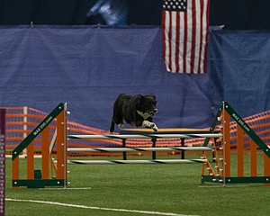 20150321-LEAP-0785.jpg
