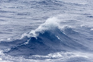20260323-0021.jpg