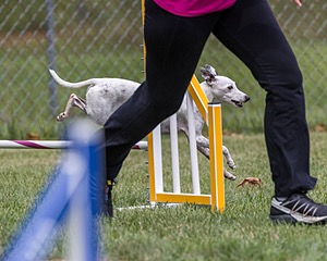 20200819-1801.jpg