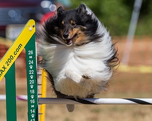 20160619-CCKC-0538.jpg