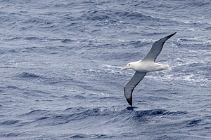20260323-0015.jpg
