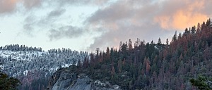 20170211-0017.jpg