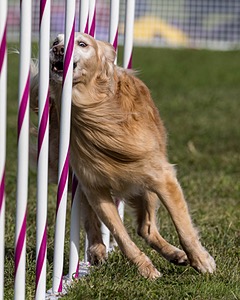 20230916-PVKC-1369.jpg