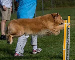 20200819-0570.jpg