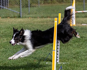 20200819-0615.jpg