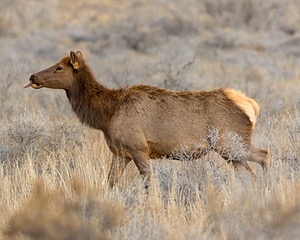 20151204-0541.jpg