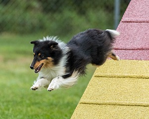 20200819-2911.jpg