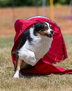 20150613-CCKC-0185.jpg
