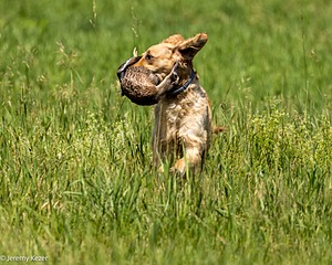 20220613-WCXW-0045.jpg