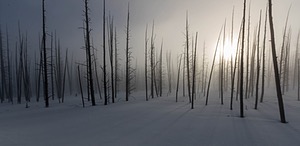 Yellowstone National Park, Montana