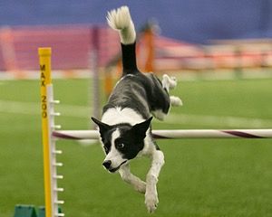 20150321-LEAP-1014.jpg