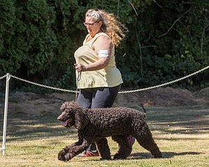 Morgan