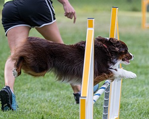 20200819-2809.jpg