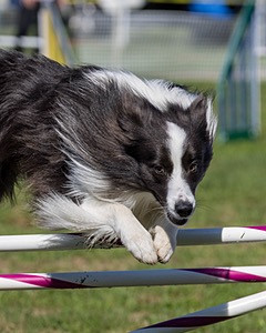 20220917-PVKC-1273.jpg