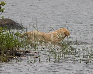 20080531-HRW-0442.jpg