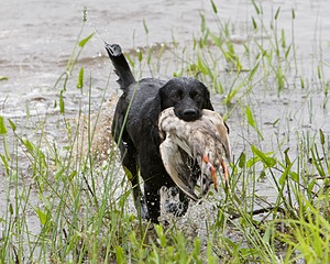 20080531-HRW-0536.jpg