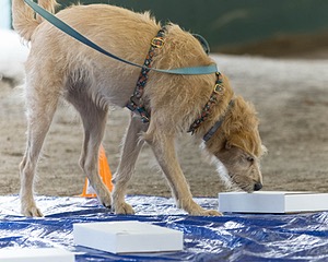20260718-NSKC-0130.jpg