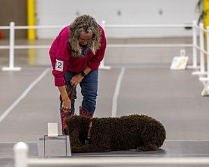 712 - Kealy Idaho IWS