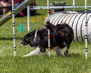 20170520-NEAT-1608.jpg