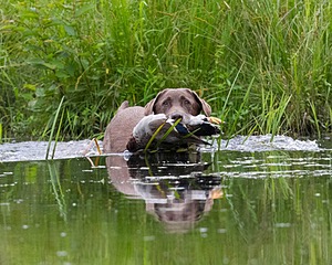 20130713-MHB2-0096.jpg