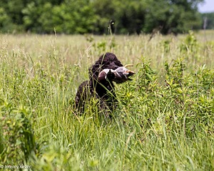 Ghillie Kezer