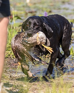 20160717-WCXW-0031.jpg
