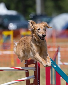 20150614-CCKC-1742.jpg