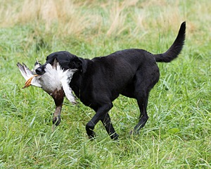 20170805-MH1-2894.jpg