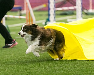 20150322-LEAP-0337.jpg