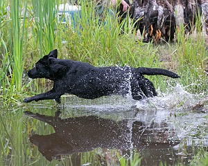 20130713-MHB2-0367.jpg