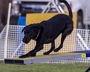 20230916-PVKC-1734.jpg