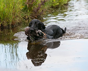 20130713-MHB2-0193.jpg