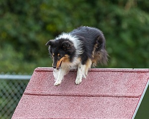 20200819-2907.jpg