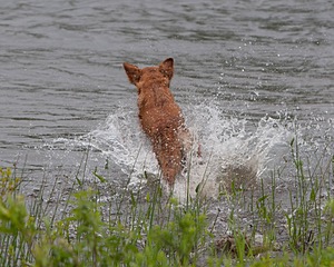 20080531-HRW-0187.jpg