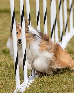20190616-CCKC-1133.jpg