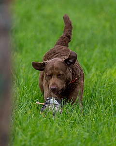 20170603-SHRL-0936.jpg